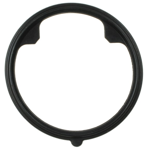 Mahle Thermostat Gasket