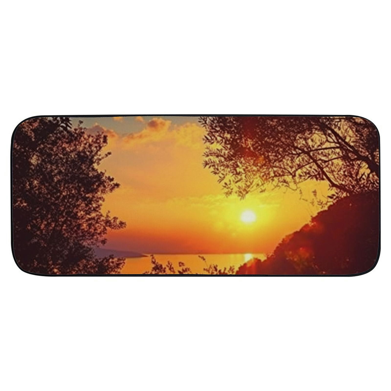 PHYHOO Decorative Door Mat, Door Mat with Non-Slip Rubber Backing, Easy Cleaning, Traps Dirt, Rug for Entry, Patio, Garage - Sun Sunset Sea Water Corfu Greece Trees Plants 19.68*47.24 in