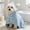 Blue,M, variant on SHJHENG Soft Plush Hooded Pet Bathrobe, Quick-Drying Absorbent Towel for Small Dogs & Cats, Cute Bunny Ear Bath Wrap with Buttons & Pockets