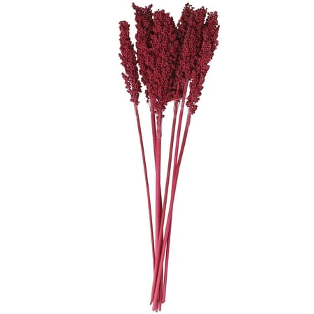 

30 Dried Plant Natural Foliage Corn Maze Bouquet with Long Stems by DecMode