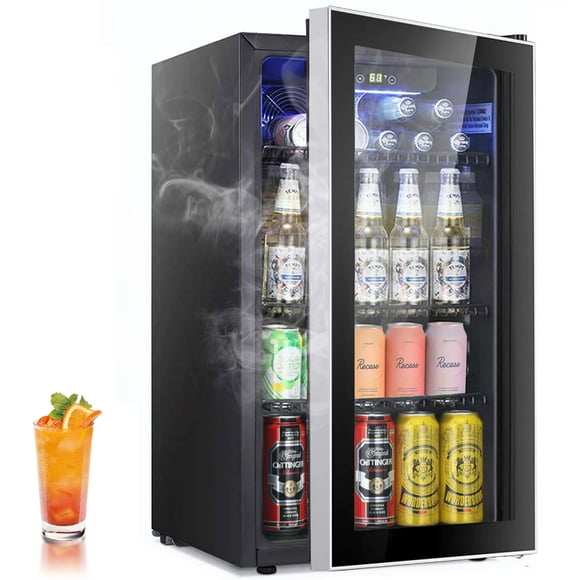 Mini Fridge Glass Door