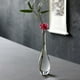 thumbnail image 3 of Jarrón de vidrio Arreglo de flores secas Jarrones florales Centros de mesa Jarrón de flores 27cmx4cm, 3 of 9
