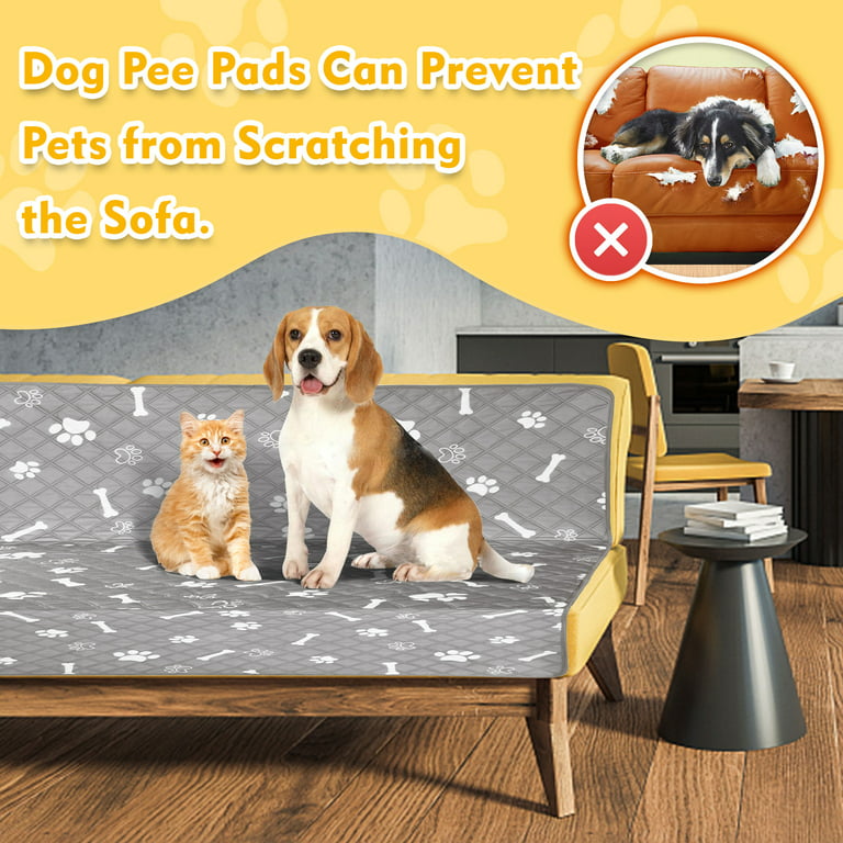 48x60 Paw Inspired Washable Reusable Dog Pee Pads, Puppy Wee Wee Training  Pads
