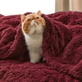 thumbnail image 5 of Soft Burgundy Red Twin Blanket for Bed, Fluffy Fuzzy Blankets Twin Size for Couch, Sofa, Cozy Plush Sherpa Fleece Faux Fur Blanket, Thick Warm Christmas Blanket Gifts for Women, Men, 60x80, 5 of 15