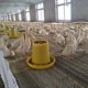 thumbnail image 1 of BESTYASH 2Ud Alimentador Plástico Amarillo Para Pollos Con Fácil De Rellenar Y Limpiar, 1 of 8
