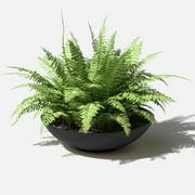 Veradek Mason Series Lane Bowl 24 Plastic-Stone Planter - Black