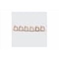 thumbnail image 4 of Dr. Pulley 15x12 Sliding Roller Weights 3 Gram, 4 of 4