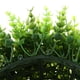 thumbnail image 4 of 2 juegos de s artificiales para jardín, plantas de , decoración en apariencia de pulgadas Gloria Bola de topiaria artificial, 4 of 9