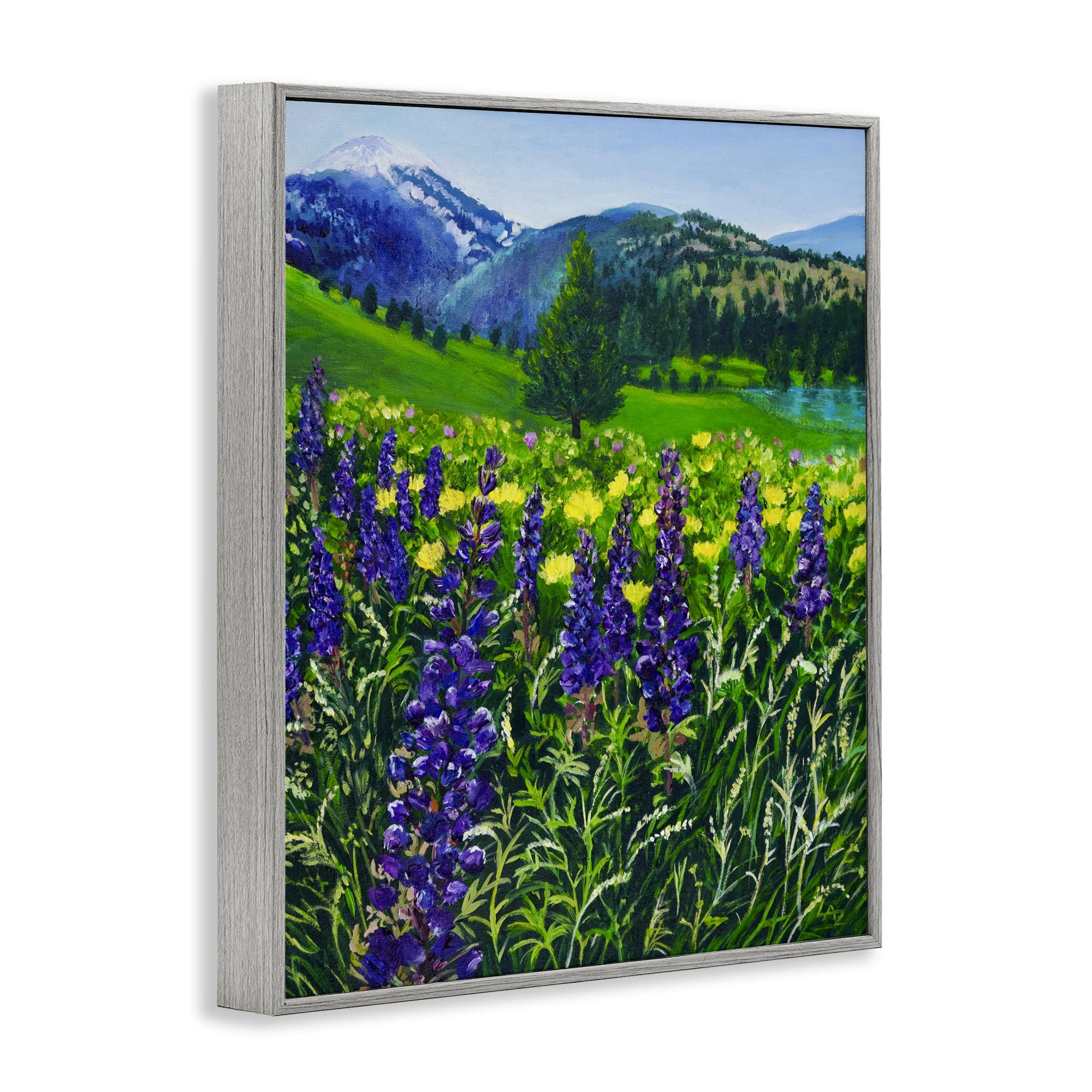 Stupell Industries Flower Speckled Valley Gray Framed Giclee Art, design by Lee Ann Zirbes