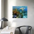 thumbnail image 4 of PIKWEEK Green Sea Turtle Canvas Wall Art Print, Wildlife Artwork, 4 of 5