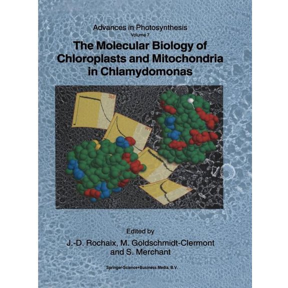 Advances in Photosynthesis and Respirati The Molecular Biology of Chloroplasts and Mitochondria in Chlamydomonas, Book 7, (Paperback)
