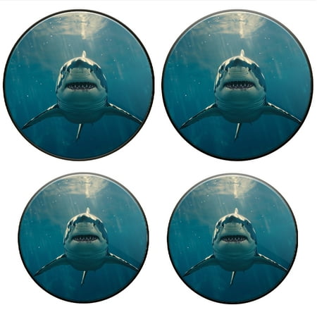 

BaHomeck Electric Stove Burner Covers Set of 4 Round Metal Gas Stove Burner Covers 8 Inch and 10 Inch Kitchen Decor Great White Shark Swimming In The Ocean