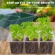 thumbnail image 5 of Bandeja para plántulas con orificio de aire cubierto, maceta para siembra de plántulas, para germinación de semillas, crecimiento de propagación, 5 of 6