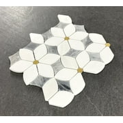 Water Jet 6 x 6 Novelty Mosaic Wall & Floor Tile - Case (10 Sheets)