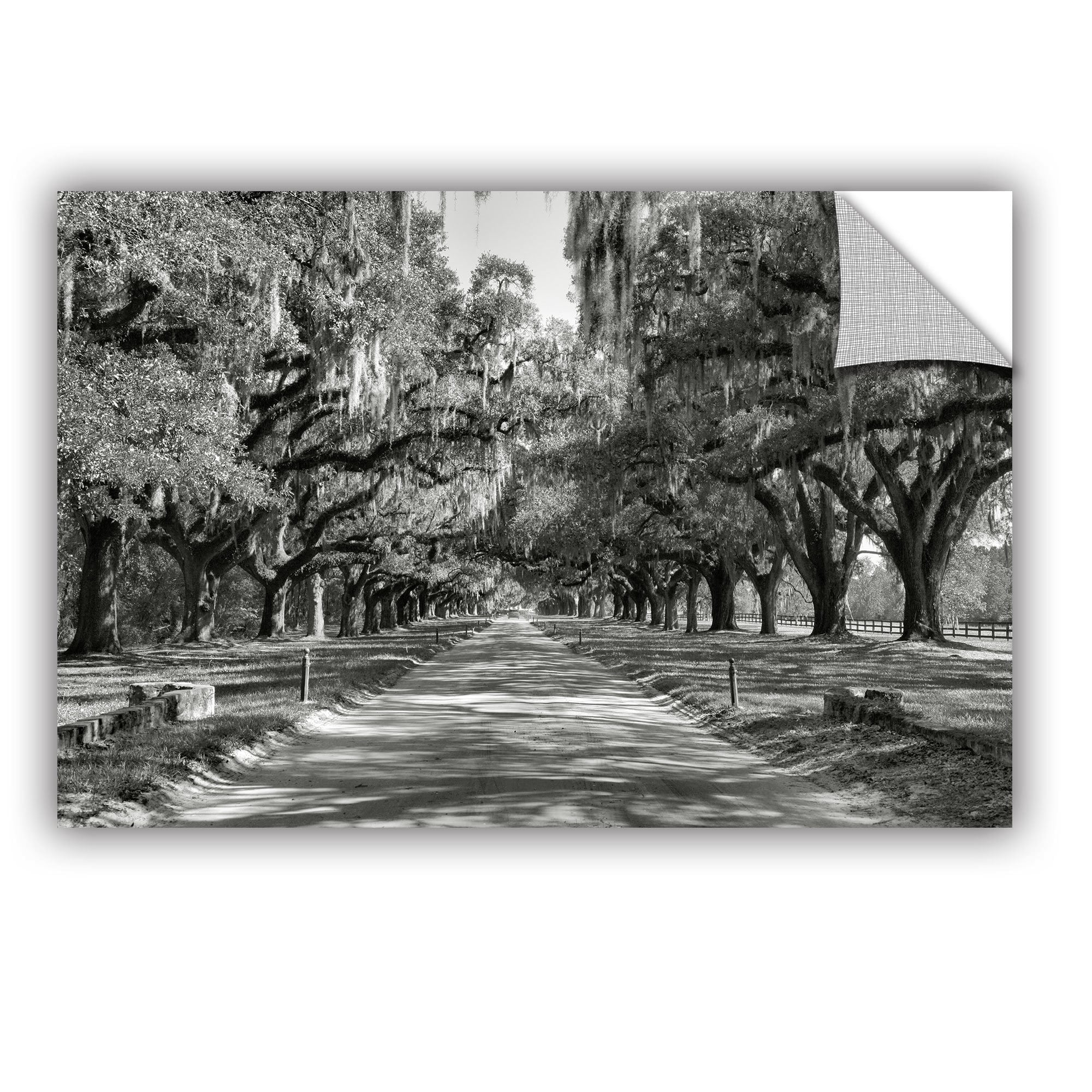 ArtAppealz Steve Ainsworth "Live Oak Avenue II" Removable Wall Art