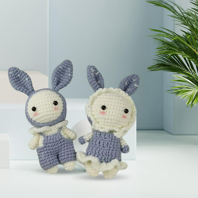 Complete Beginner Crochet Set Rabbit All in Learn to Crochet