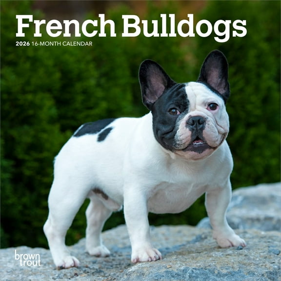 French Bulldogs | 2026 7x14" (Hanging) Monthly Mini Wall Calendar | BrownTrout