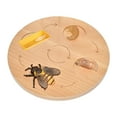 thumbnail image 3 of Life Cycle Board Science Realistic Educational Teaching Model Cognitive Toy bee, 3 of 8