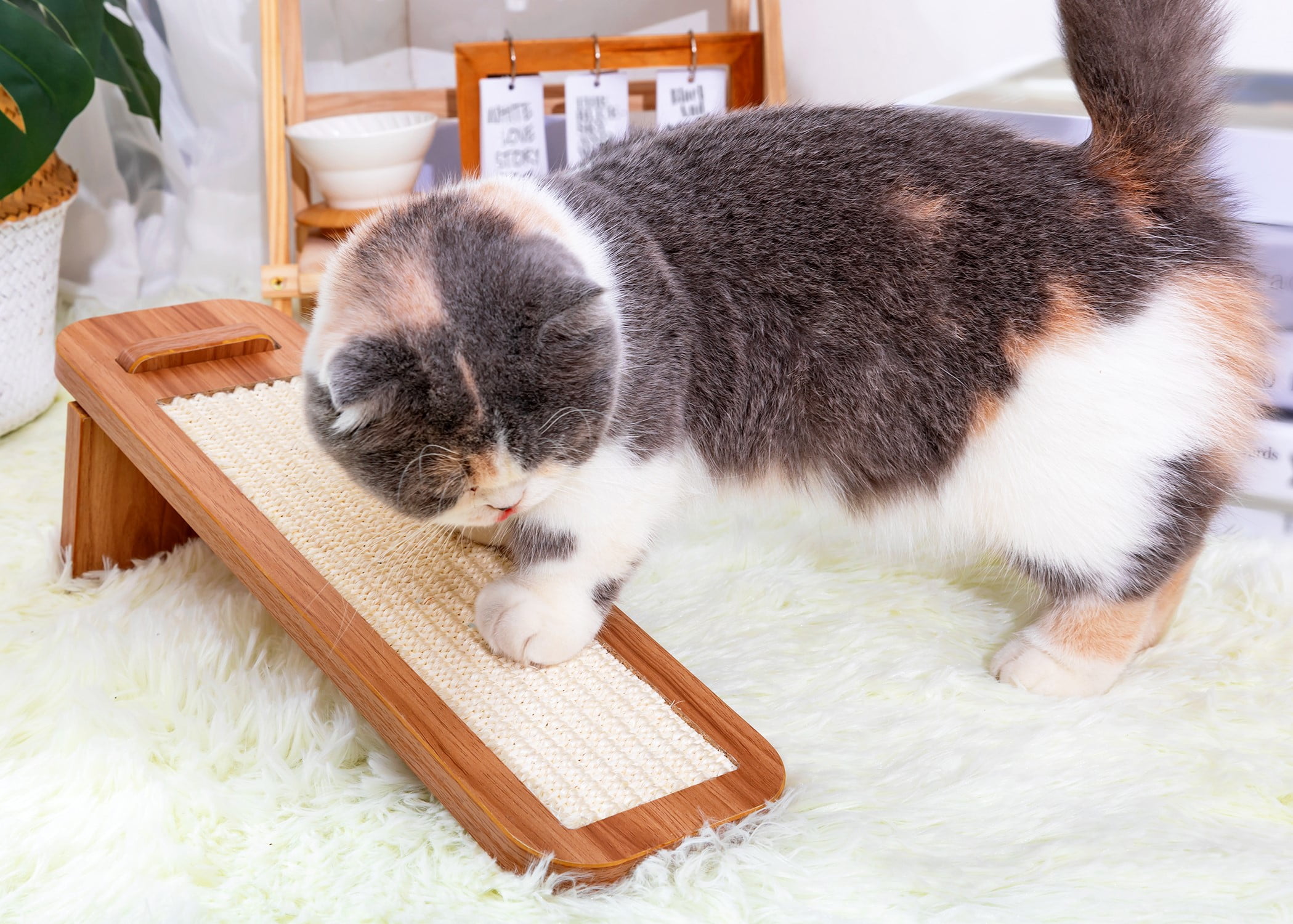 Petpals Cat Scratcher Clearance Hardwood Cat Scratching Post Size 16