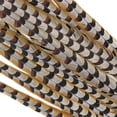 thumbnail image 2 of Zucker Feather Products Venery Pheasant Tails - Natural - 30-40" - 12 pcs - Natural, 2 of 8