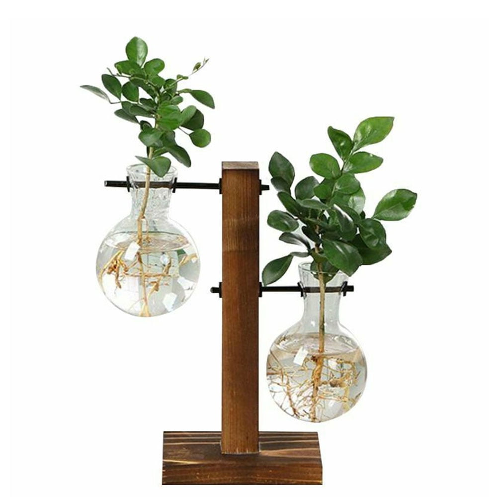 Flower Pot Glass Vase Planter for Hydroponics Plants+Wooden Stand Table Decor 