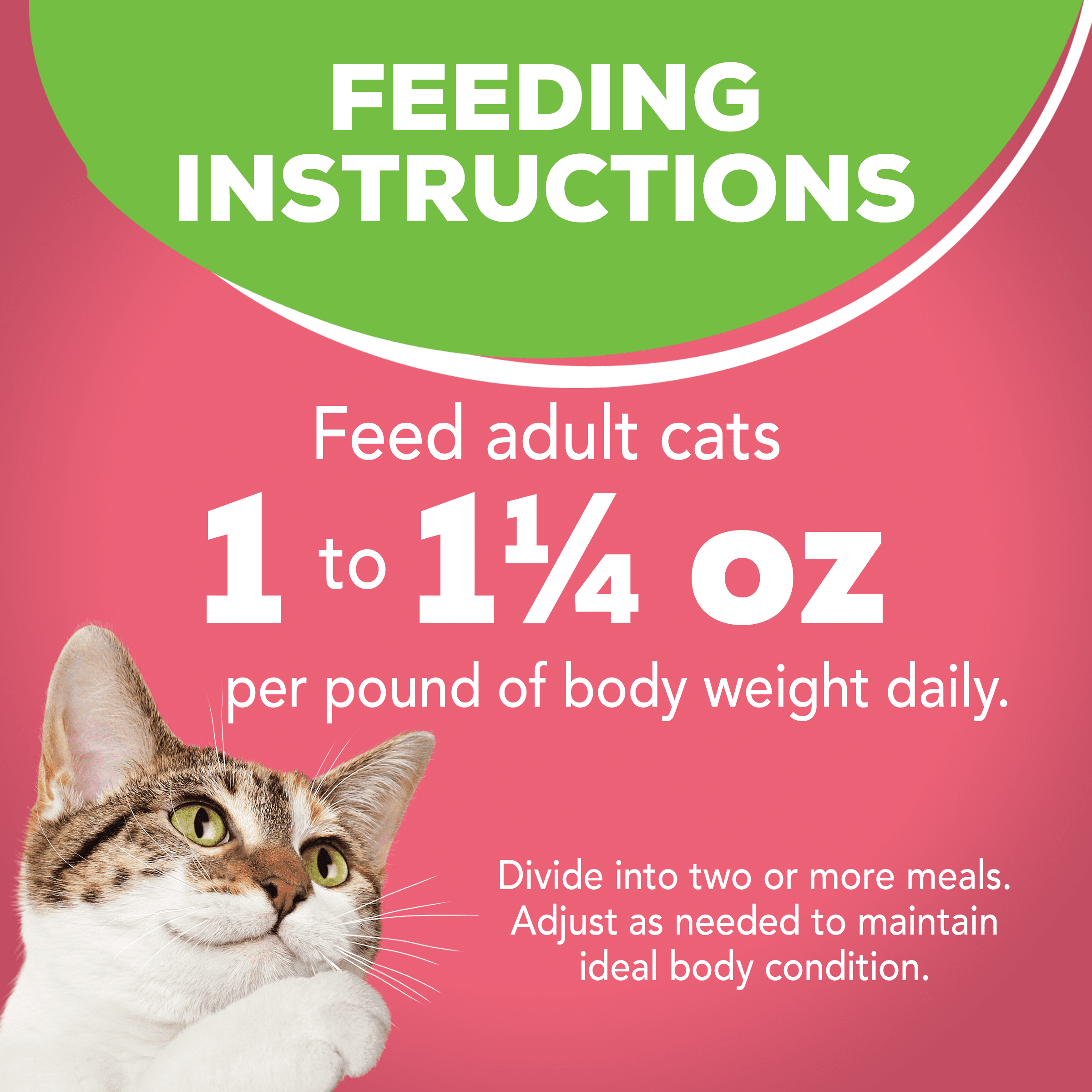 friskies indoor pate