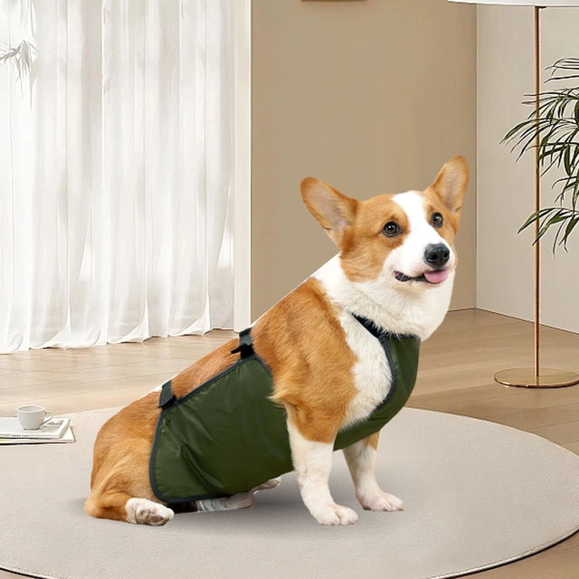 Banda Inmediable para el Vientre del Perro, Protección Total, Diseño Transpirable, Fácil de Limpiar, Protector de Pecho para Mascotas con material impermeable, especial DE