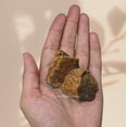 thumbnail image 4 of Bronzite Crystal Raw Stones (2 Pieces), 4 of 5