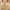 Beige, variant on Womens Ladies Nursing Bra Wireless Deep V Neck Push up Maternity Nursing Full Coverage Bra Bralette Sleeping Breastfeeding