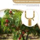 thumbnail image 2 of Branch Support Bracket for Vibrant Tree Branches in Vineyard Made of Aluminum Alloy Golden 8Set, 2 of 4