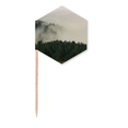 thumbnail image 1 of Mountain Fog Forest Cloud Sky Toothpick Flags Cupcake Picks Party Celebration, 1 of 3