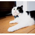 thumbnail image 5 of Mumup Christmas Collar for Cat Pet Breakaway with Bell Bowtie Detachable Bow Adjustable Safety Kitten Puppy Girl Boy 2pcs Christmas, 5 of 6