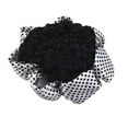 thumbnail image 1 of HEVIRGO Filet à Cheveux Pois Tissu Extensible Femmes Snood pour Danseur, 1 of 10