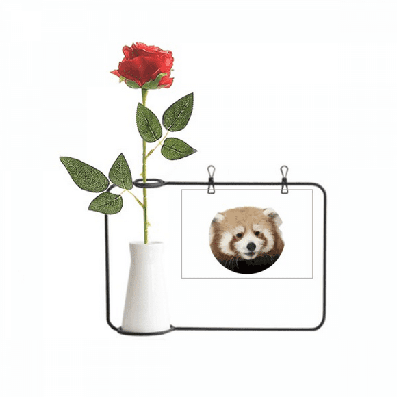 Brown Jungle Civet Cats Lovely Little Artificial Rose Flower Hanging Vases Decoration Bottle
