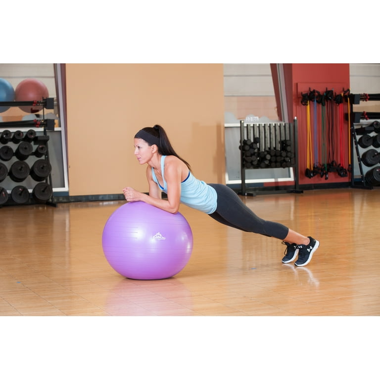 Black Mountain Products Professional Grade Stability Ball - Pro