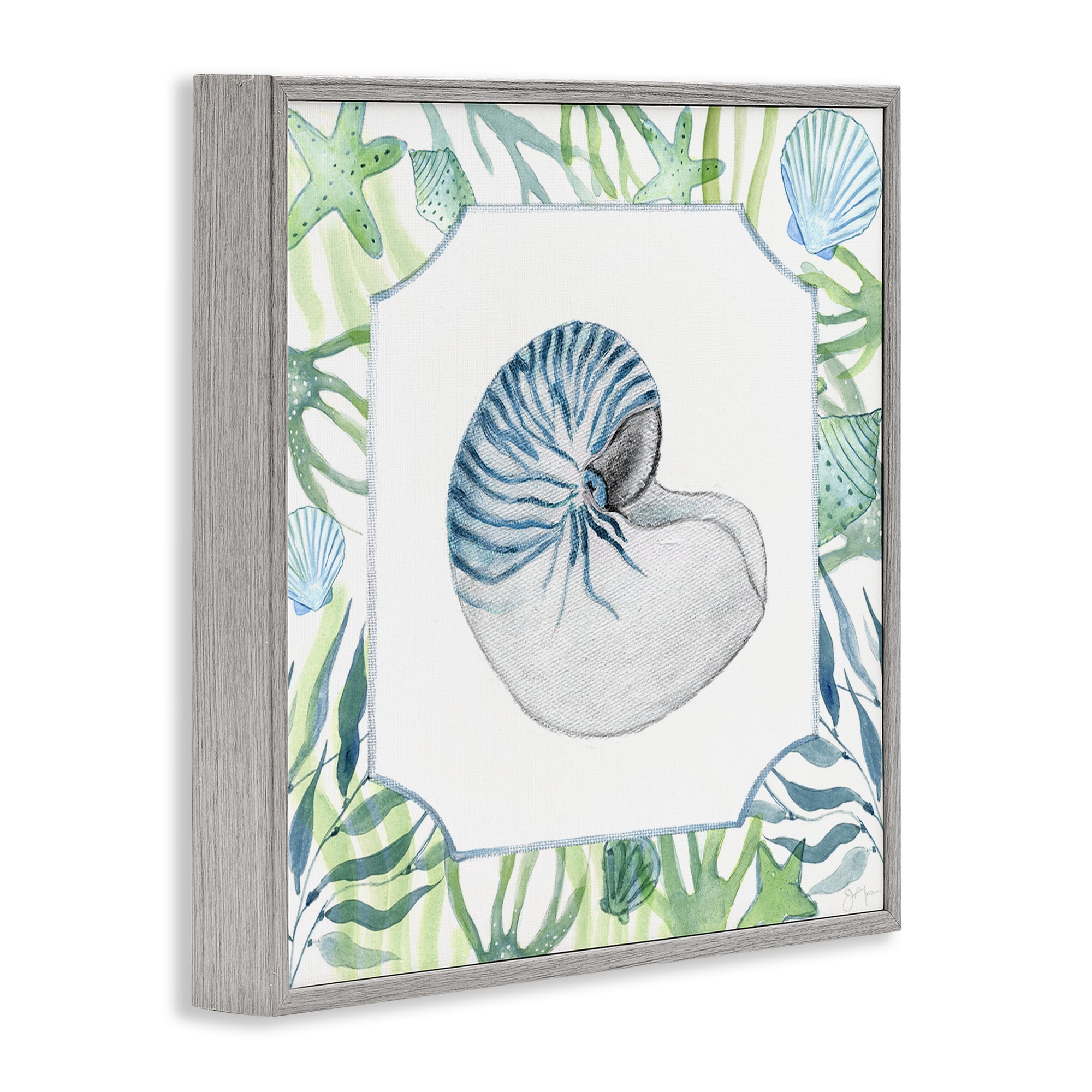 Stupell Industries Seaweed & Seashells Aquatic Gray Framed Giclee Art, design by Janet Tava