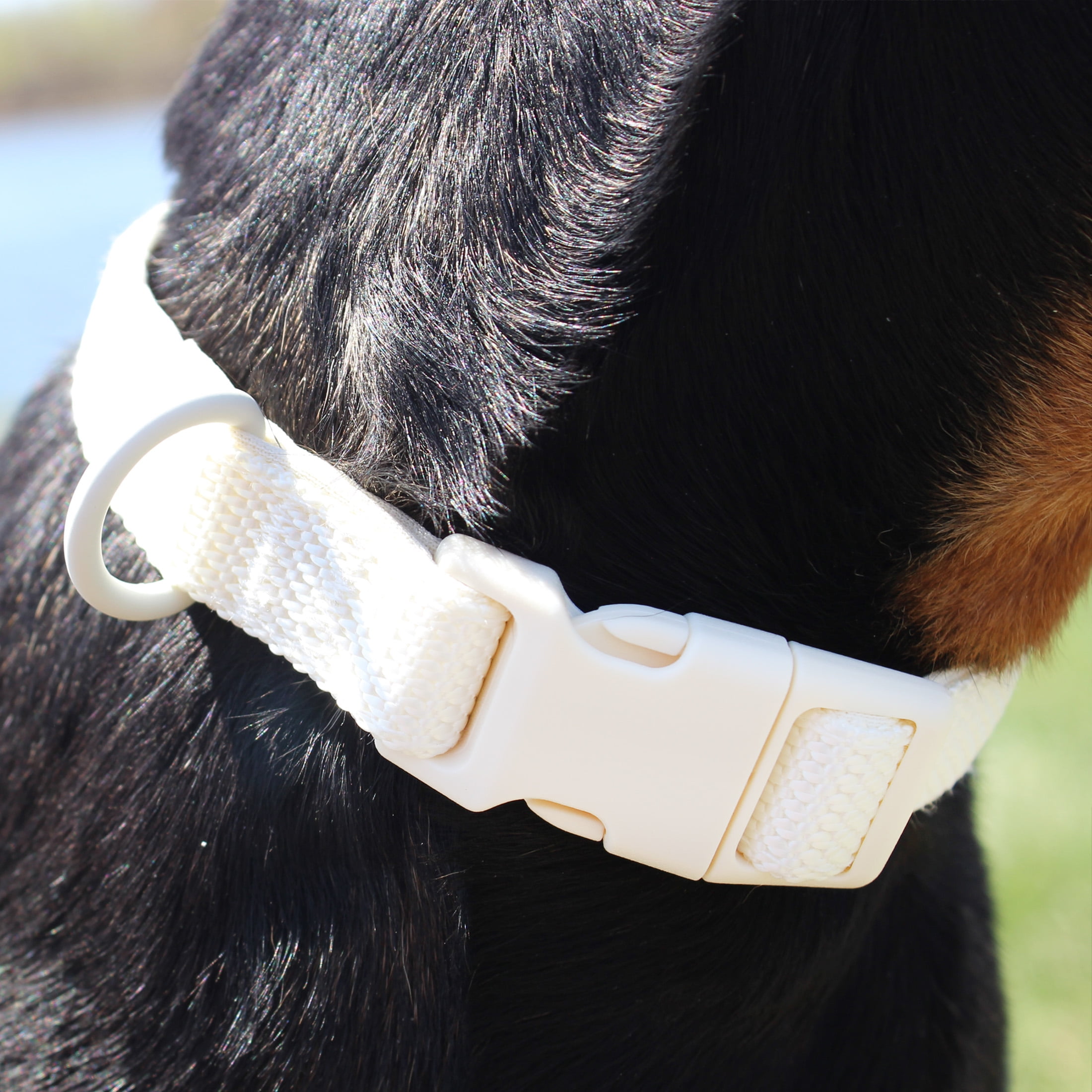 Vibrant Life Neoprene Cushioned Adjustable Dog Collar, Vanilla Cream, Large