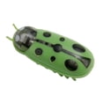 thumbnail image 2 of Bangcool Kitten Play Toy Ladybird Automatic Funny Kitten Chasing Toy Cat Interactive Toy, 2 of 10