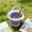 Purple, variant on EDHITNR Silicone Foldable Art Water Bucket, Multifunctional Brush Washer Portable Collapsible Cup,Bucket for Acrylic Watercolor Oil Painting Artists Studio