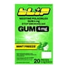 Blip Nicotine Gum, 4 mg, Mint Freeze, 20 Count