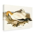 thumbnail image 2 of Trademark Fine Art Elizabeth Gould Waterbird Pairing VI Canvas Wall Art, 2 of 4