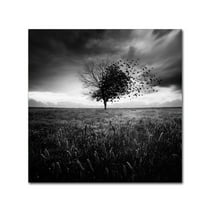 Trademark Fine Art 'Illusion Dun Printemps Perdu' Canvas Art by Sebastien Del Grosso