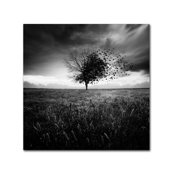 Trademark Fine Art 'Illusion Dun Printemps Perdu' Canvas Art by Sebastien Del Grosso