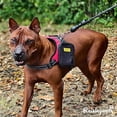 thumbnail image 5 of Raisingwell Dog Treat Pouch for Pet Walking and Training with Clicker Poop Bags Small Fanny Zipper Pack Holder for Puppy Snack Dispenser Kit for Leash and Outdoor Use (Black), 5 of 5
