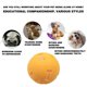 thumbnail image 5 of Bola de juguete para limpiar los dientes de los perros | Diseño de TPR hueco masticable | Juego de lanzamiento de bolas doradas | Suministro de juego duradero para mascotas | Juego interactivo con, 5 of 7