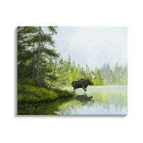 Stupell Industries Moose in Woodland Pond Nature Painting Gallery Wrapped Canvas Print Wall Art, 20 x 16
