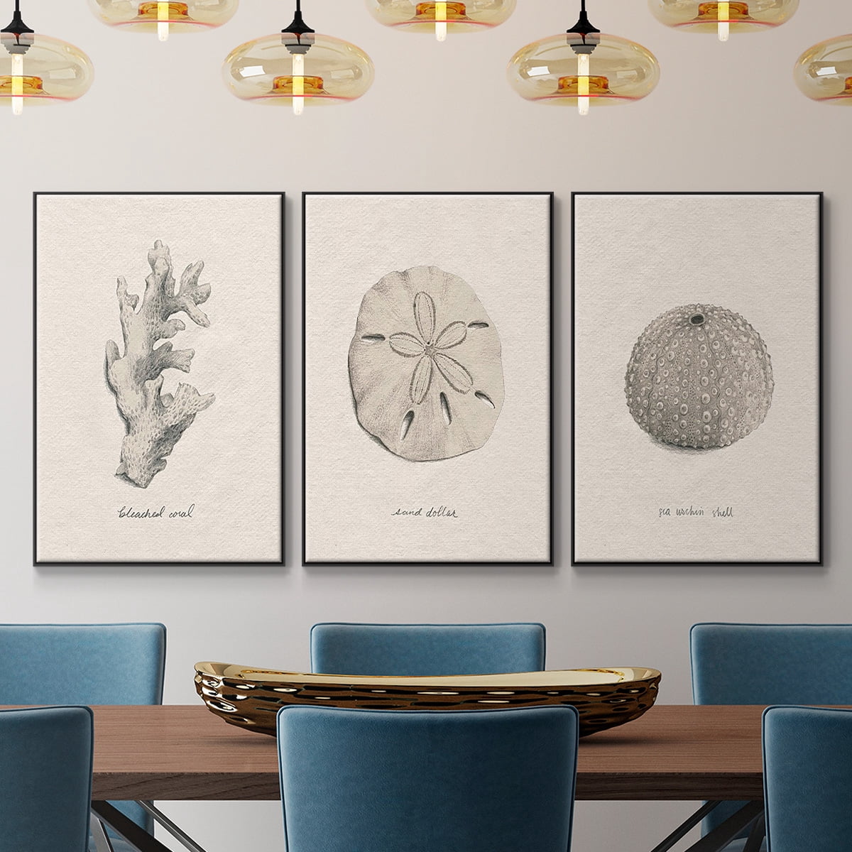 Shore Treasure Study I - Framed Premium Gallery Wrapped Canvas L Frame 3 Piece Set - Ready to Hang