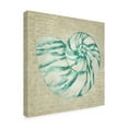 thumbnail image 2 of Trademark Fine Art 'Seafoam Shell I' Canvas Art by Chariklia Zarris, 2 of 4