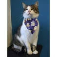 thumbnail image 2 of Animals In Costumes Bandana  -Image by Shutterstock,  Small, 2 of 4