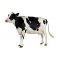 thumbnail image 2 of Holstein Cow against White Wall Decal by Wallmonkeys Peel and Stick Graphic (24 in W x 18 in H) WM331635, 2 of 4